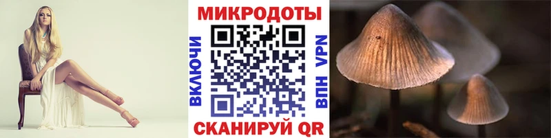 где можно купить наркотик  Дигора  Галлюциногенные грибы мухоморы 